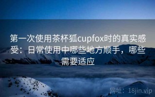 第一次使用茶杯狐cupfox时的真实感受：日常使用中哪些地方顺手，哪些需要适应