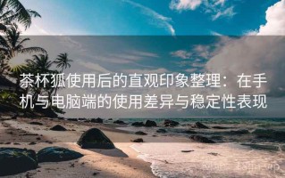 茶杯狐使用后的直观印象整理：在手机与电脑端的使用差异与稳定性表现