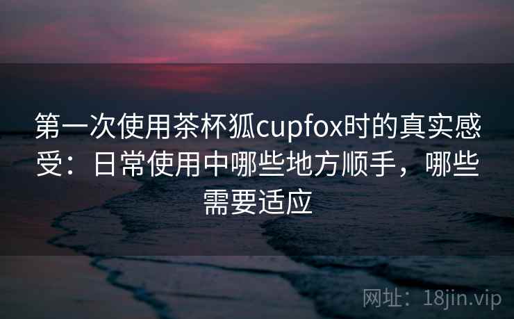 第一次使用茶杯狐cupfox时的真实感受：日常使用中哪些地方顺手，哪些需要适应-第2张图片