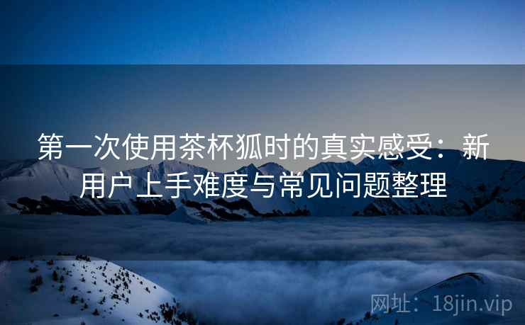 第一次使用茶杯狐时的真实感受：新用户上手难度与常见问题整理-第1张图片